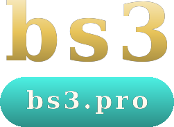 bs3 logo